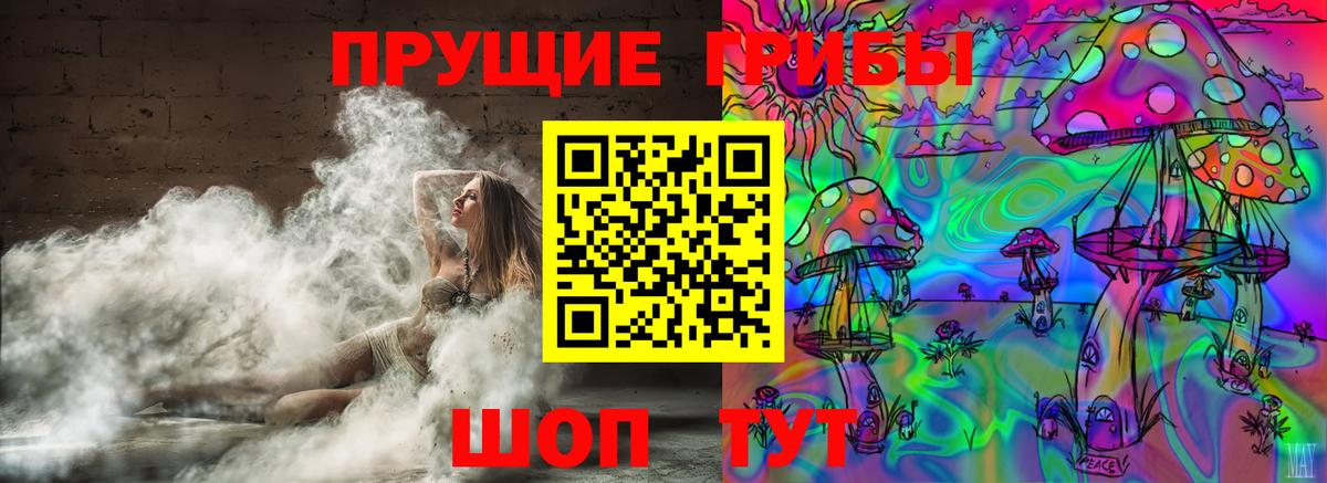 Псилоцибиновые грибы прущие грибы Москва