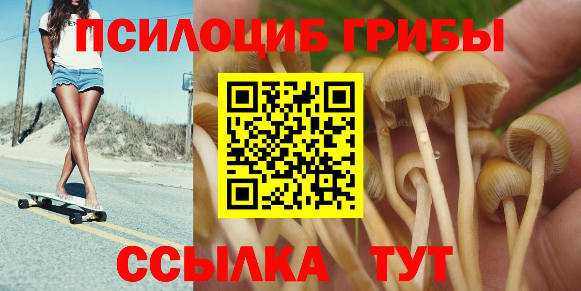 Псилоцибиновые грибы прущие грибы  Вход с VPN  Москва 